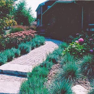 Monsma Landscape and Maintenance place picture