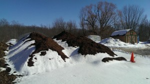 Spring clean up Grand Rapids and bark mulch